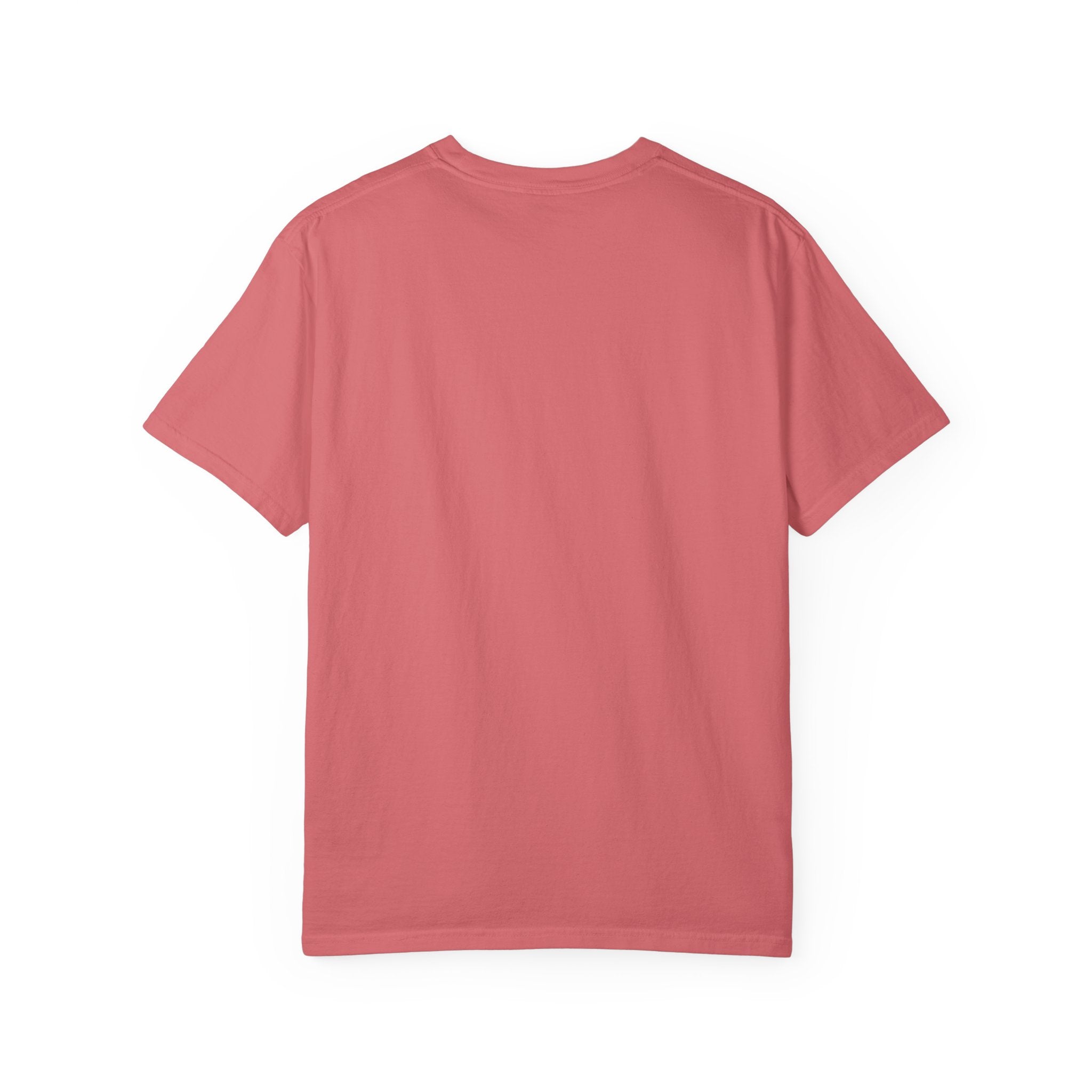 SEALLY: Unisex Garment-Dyed T-Shirt - Seal The Heat