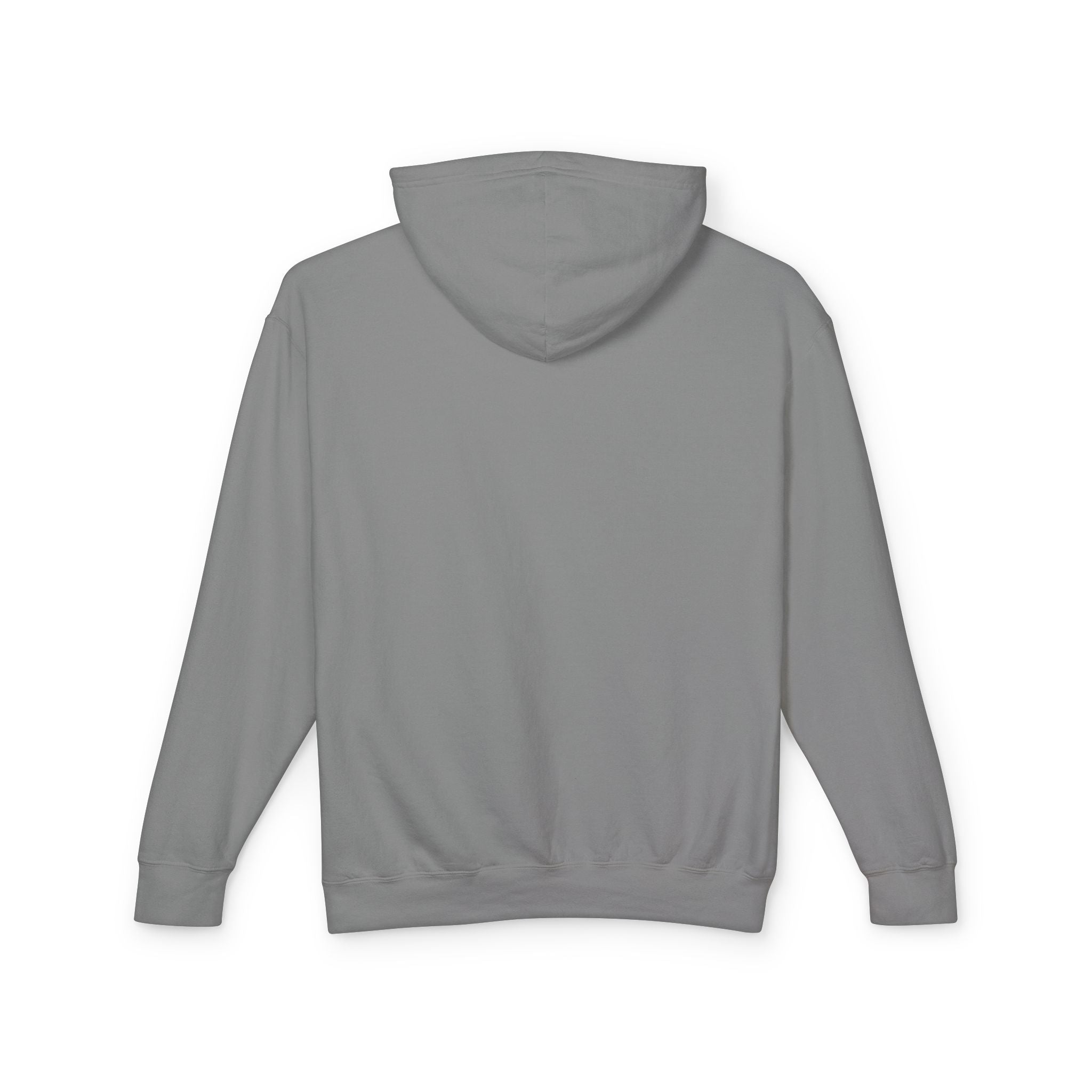 SEALLY: Unisex Lightweight Hooded Sweatshirt - Why so Seally-ous?