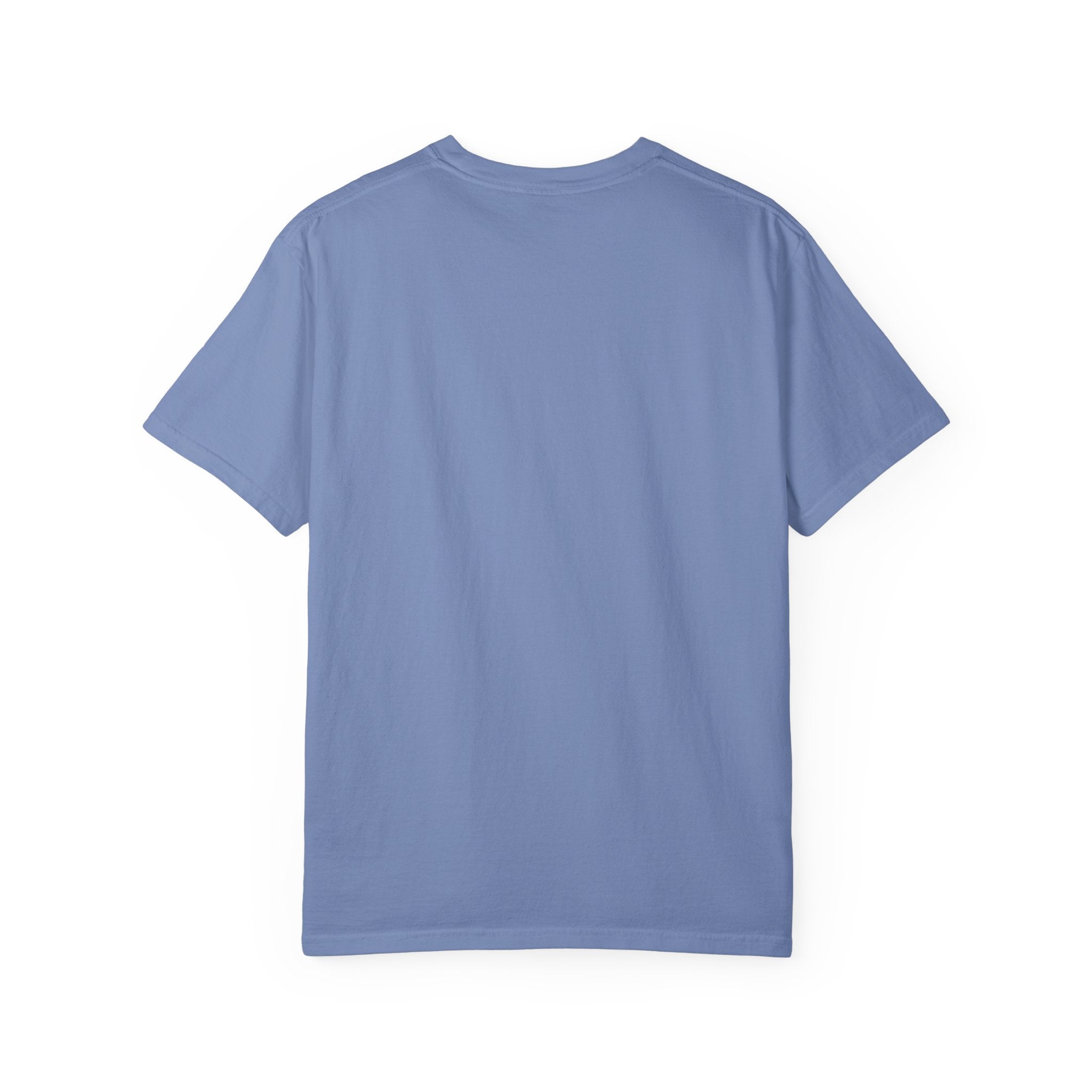 SEALLY: Unisex Garment-Dyed T-Shirt - Seal The Heat