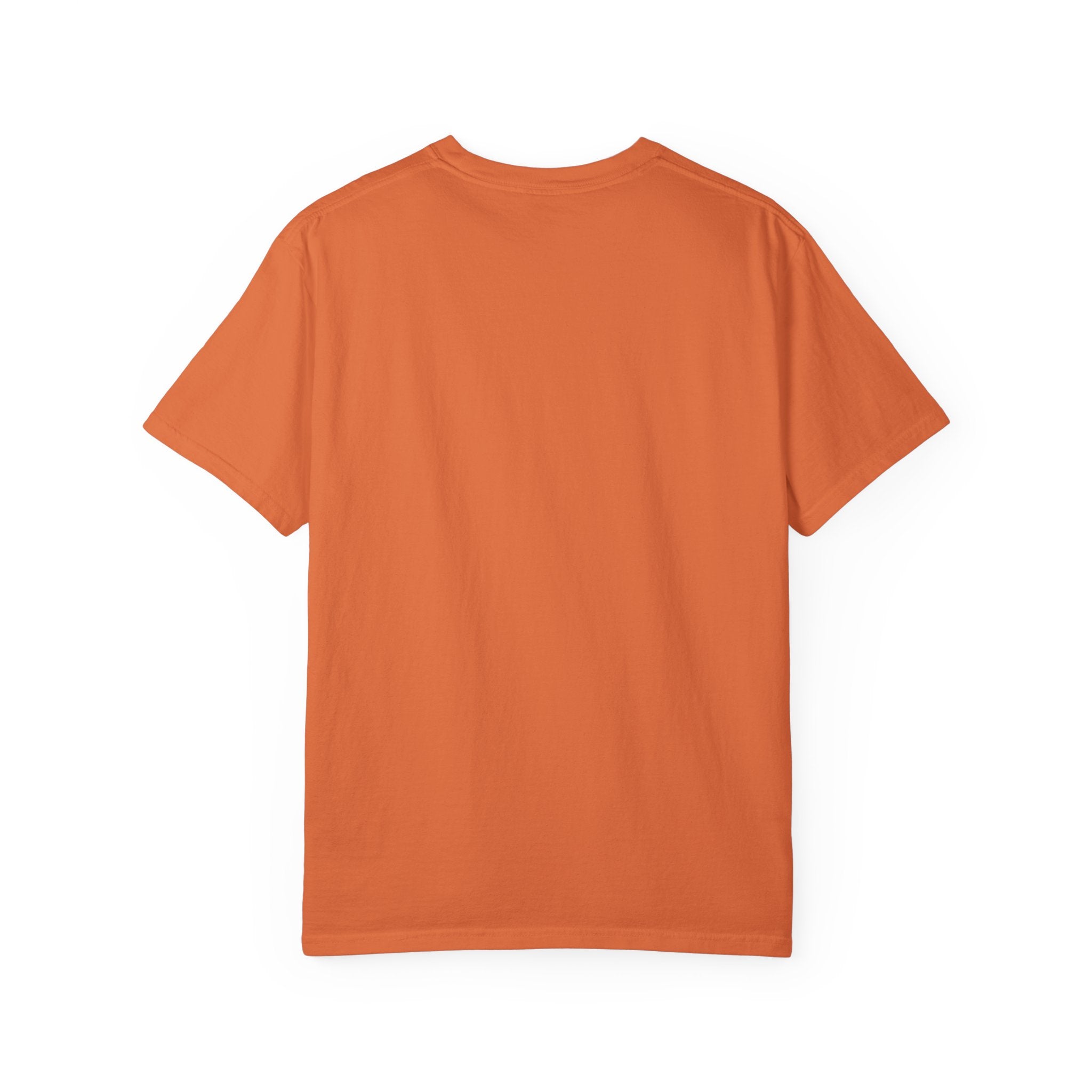 SEALLY: Unisex Garment-Dyed T-Shirt - Seal The Heat