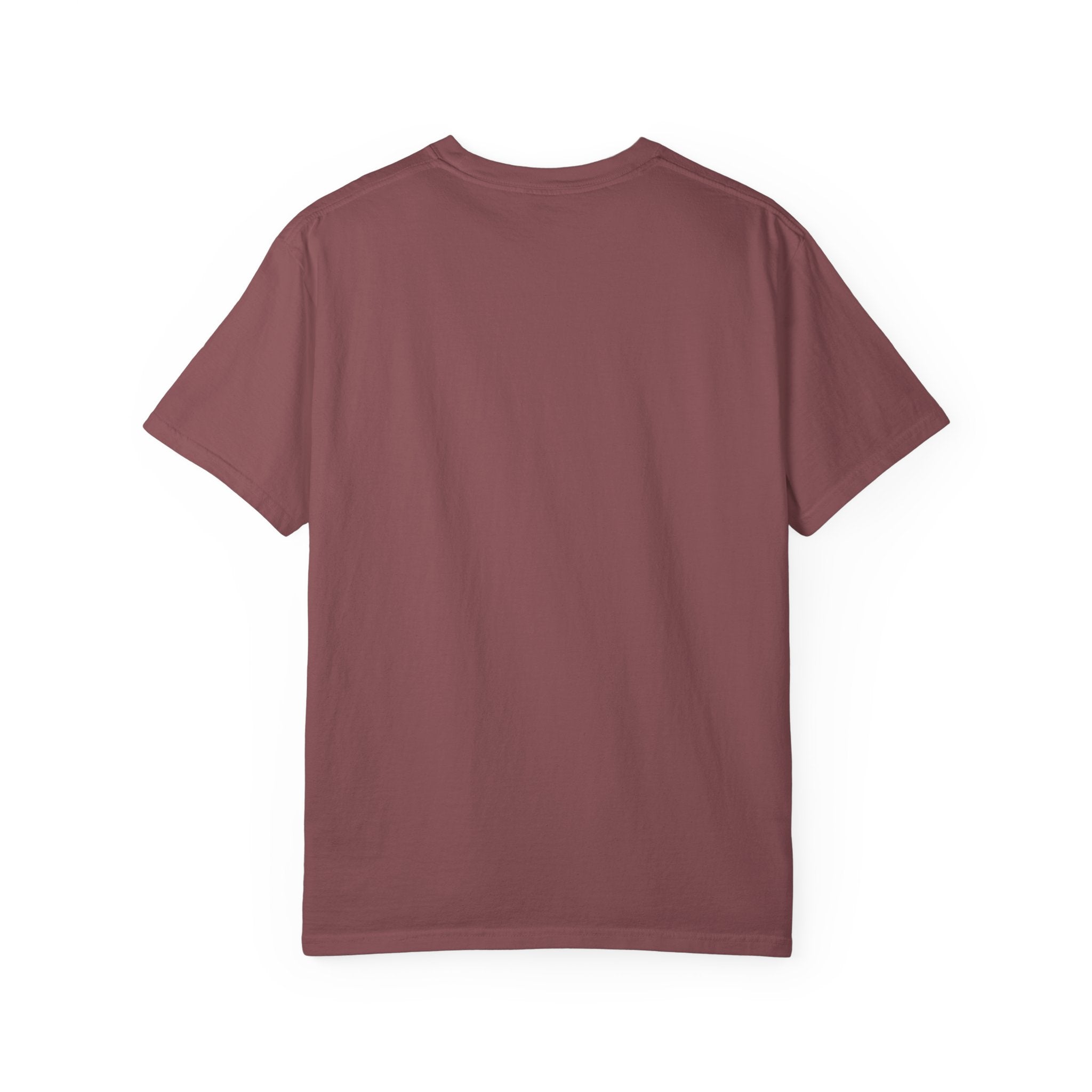 SEALLY: Unisex Garment-Dyed T-Shirt - Seal The Heat