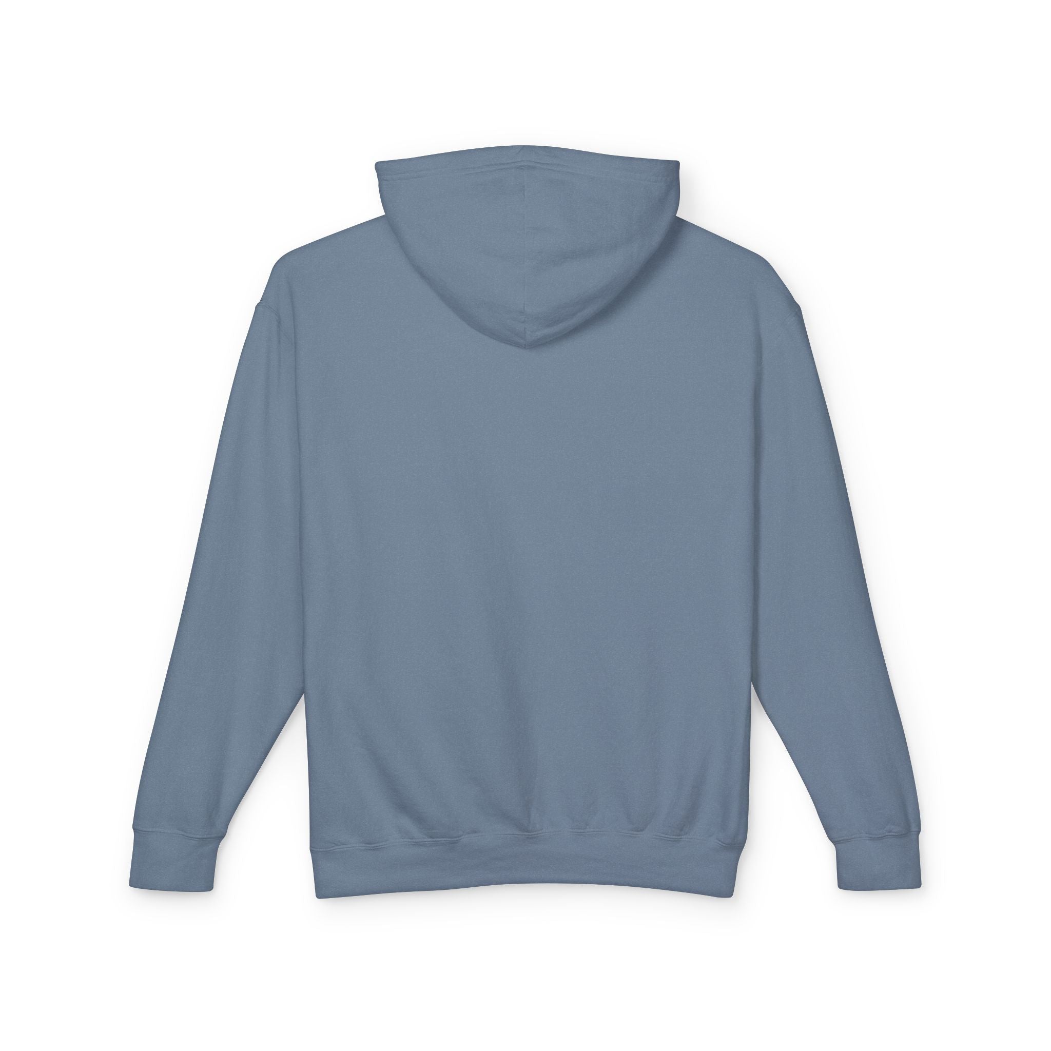 SEALLY: Unisex Lightweight Hooded Sweatshirt - Why so Seally-ous?