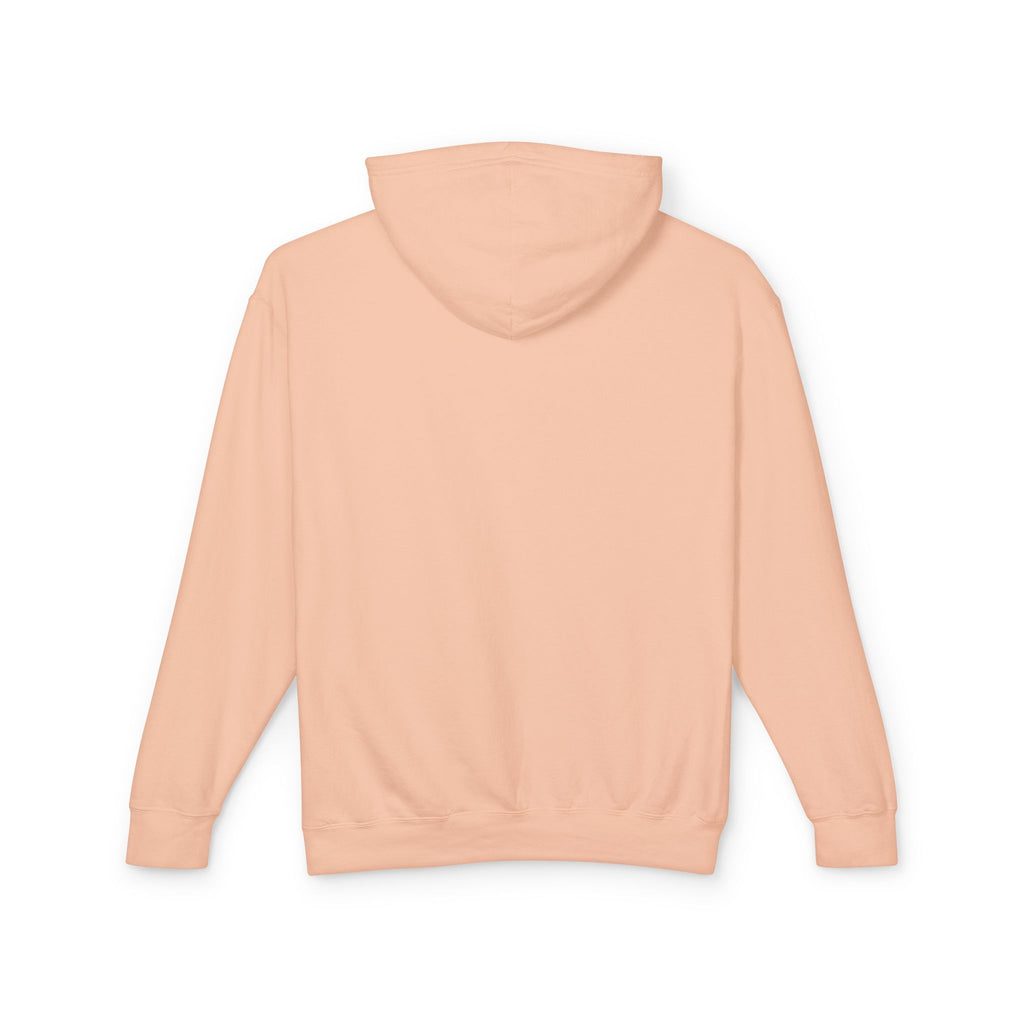 SEALLY: Unisex Lightweight Hooded Sweatshirt - Why so Seally-ous?