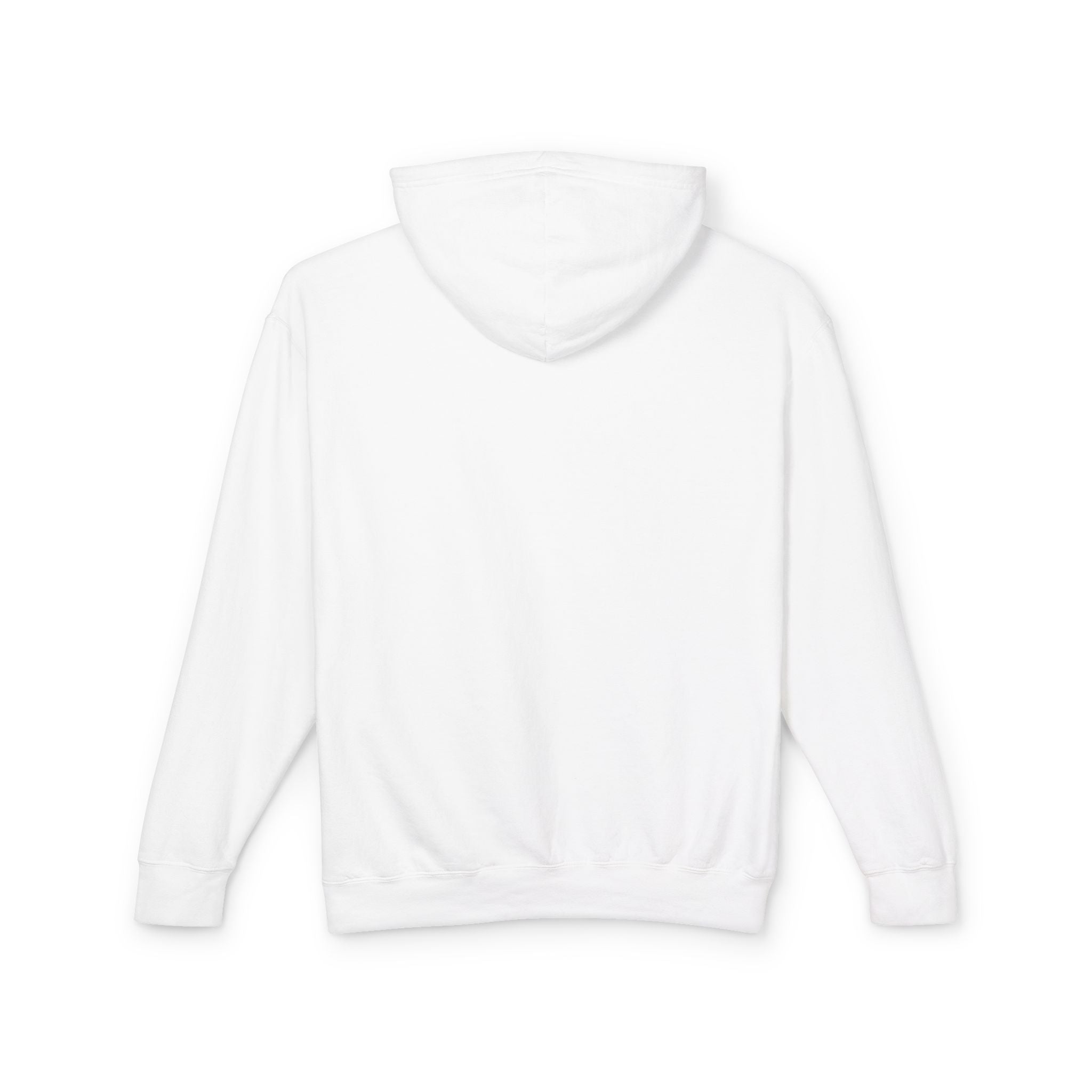 SEALLY: Unisex Lightweight Hooded Sweatshirt - Why so Seally-ous?